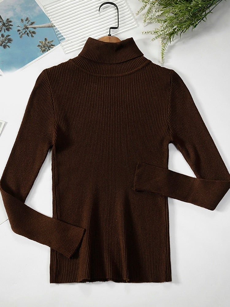 Brauner Rollkragenpullover aus Strick, langärmelig, Damenmode, Herbst-Winter-Kleidung.