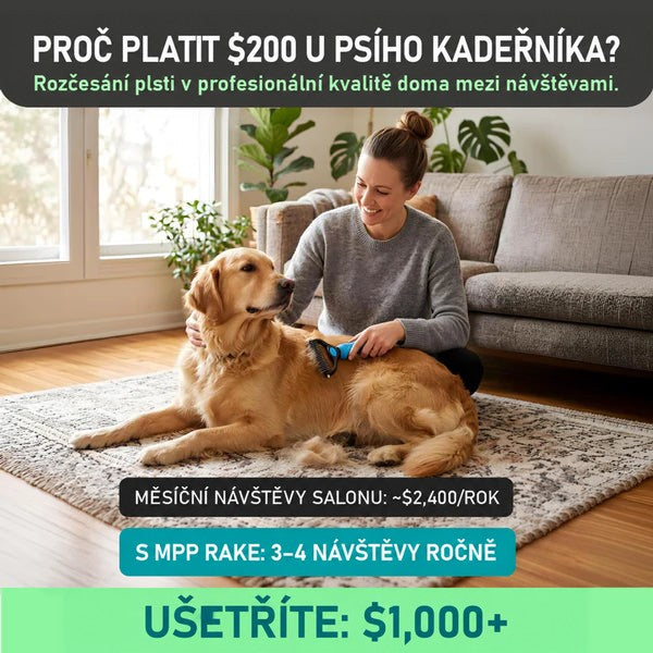 Žena se usmívá a rozčesává zlatého retrívra modrým hrablem v obýváku na koberci, grafika o úsporách za péči. 2