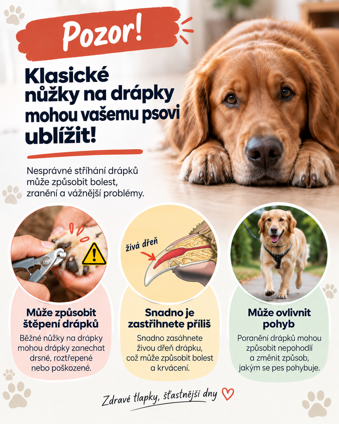 Informační grafika o rizicích obyčejných kleští na drápy, s ležícím psem a třemi ilustracemi 4