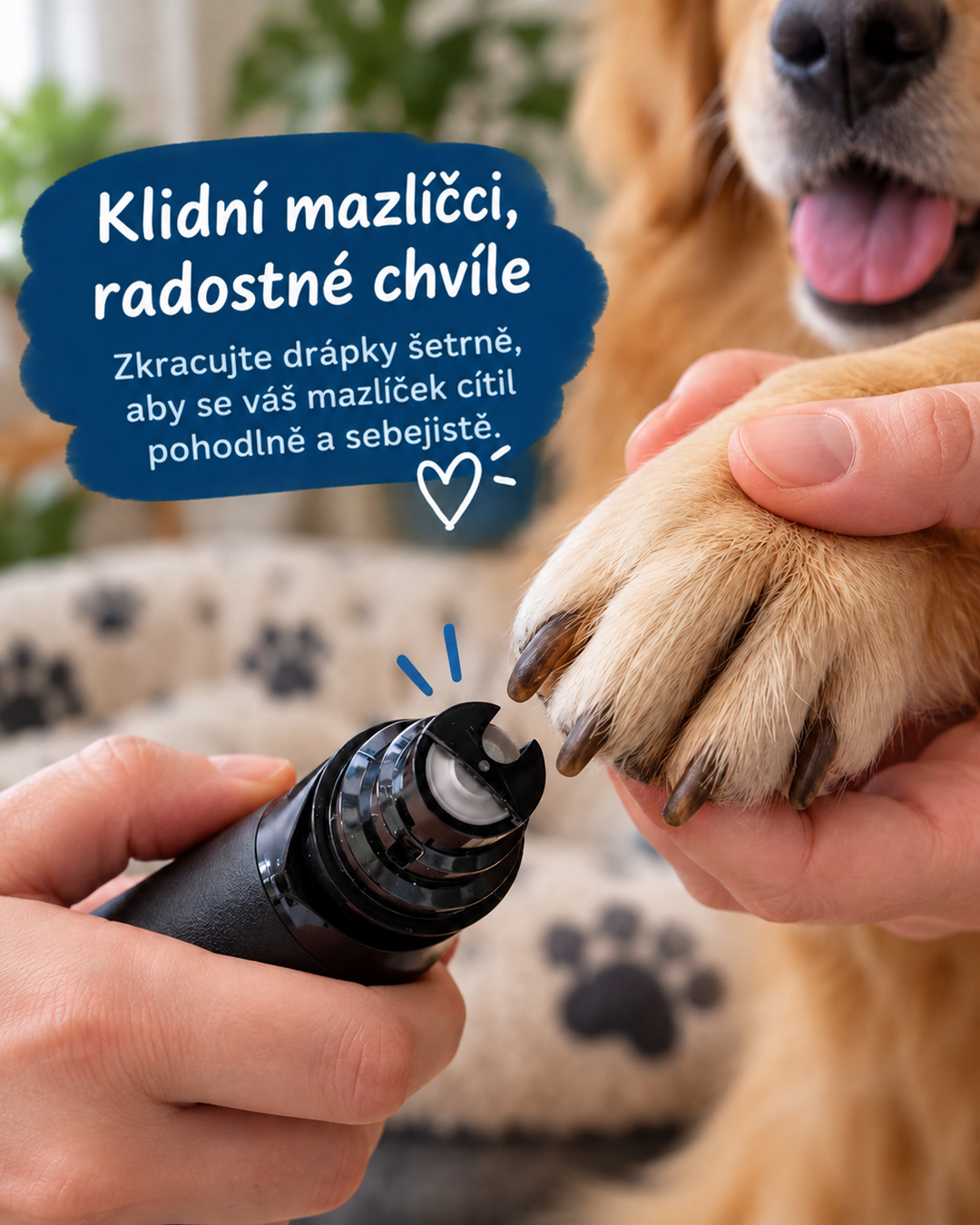 Detail brusné hlavice u tlapky psa, kterou majitel drží v ruce, s textovým polem 2