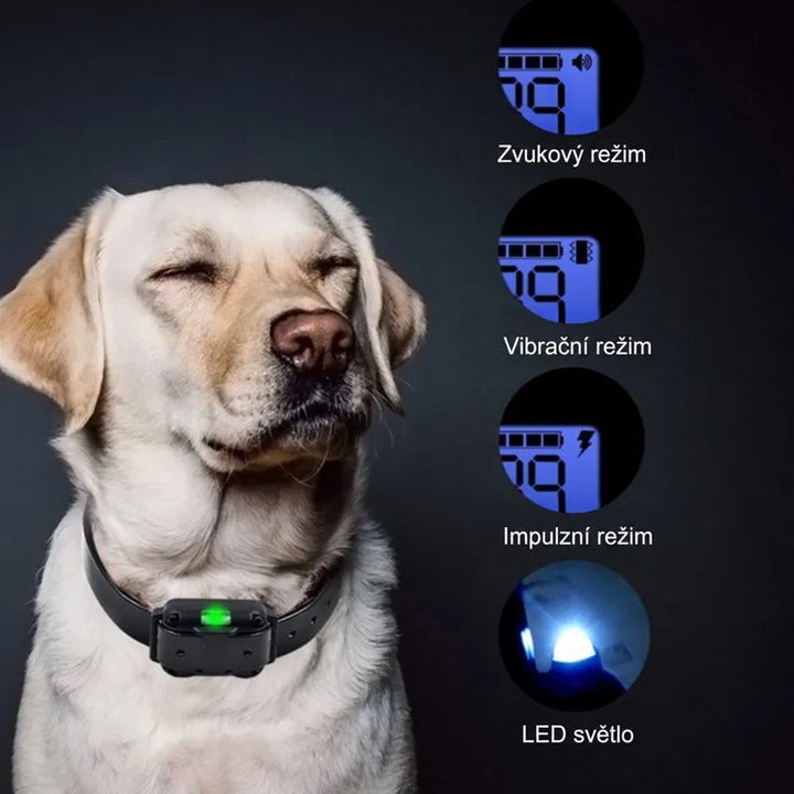 Labrador s obojkem a svítící zelenou kontrolkou, vedle displeje s režimy zvuku, vibrace, šoku a světla 9