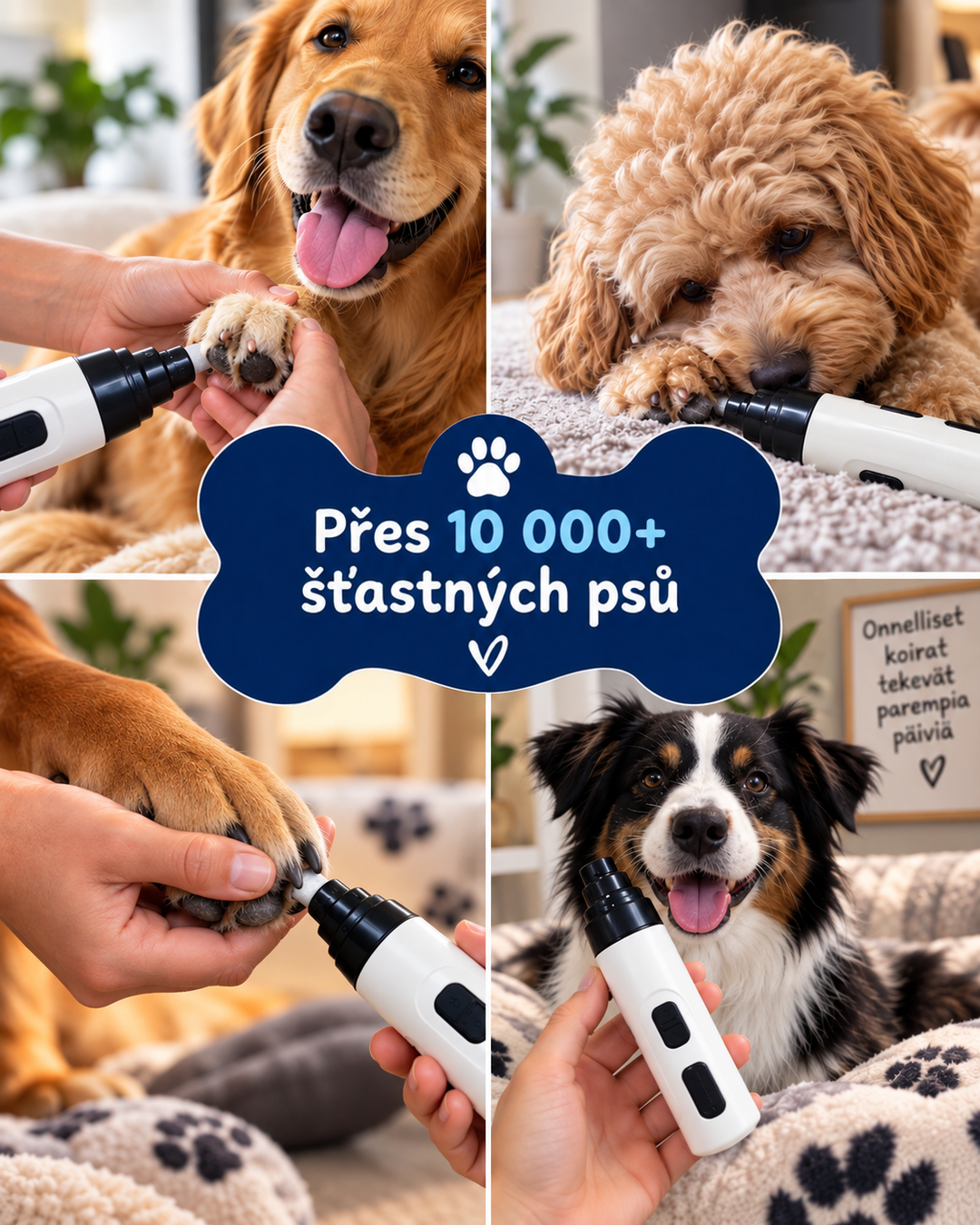 Koláž čtyř psů při broušení drápů bruskou, uprostřed nápis ve tvaru kosti 10