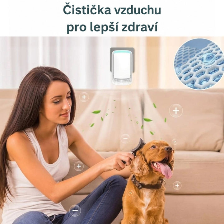 Žena na pohovce kartáčuje psa, nad nimi ionizátor šíří ionty a lístky, vpravo detail struktury 10