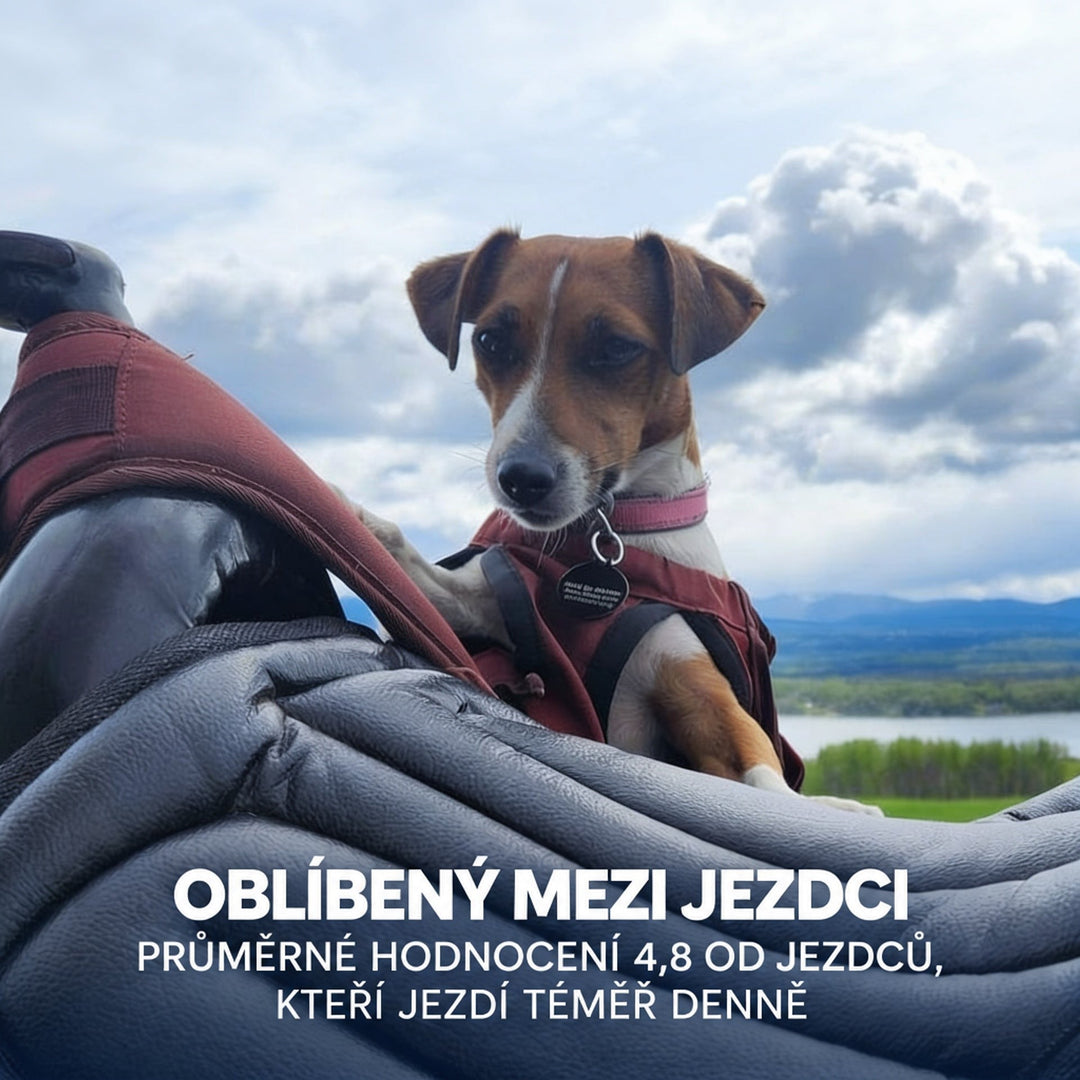 Pes v bordó vestičce se opírá o šedý prošívaný podsedák na sedle, v pozadí krajina 7