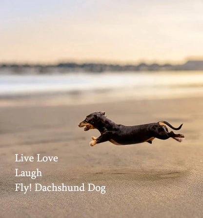 Springender Dackel am Strand bei Sonnenuntergang, Hund, Haustier, Natur, Bewegung, Spaß.