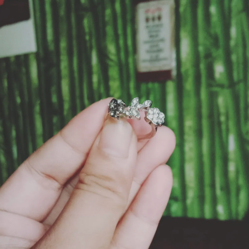 Hand hält silbernen Schmetterlingsring mit Strasssteinen vor grünem Hintergrund.