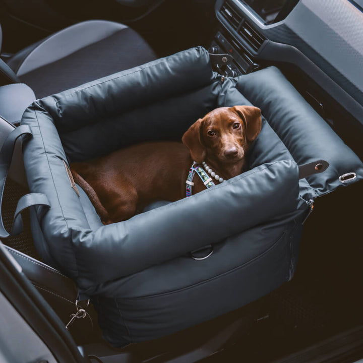 Brauner Hund im luxuriösen Kunstleder-Autositz für Hunde, dunkelblau, bequem, sicher.
