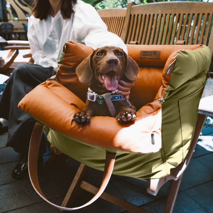 Brauner Hund in grünem Kunstleder-Autositz für Hunde, Outdoor, bequem, sicher.