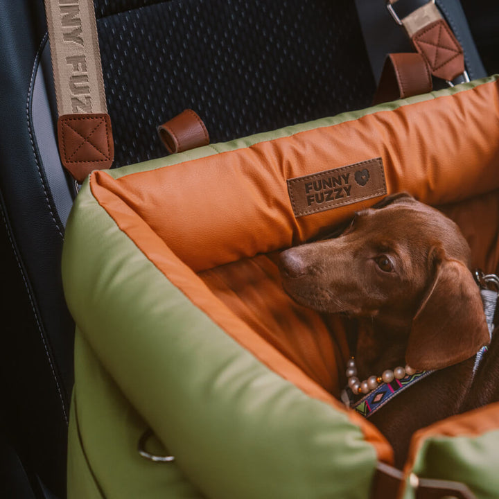 Brauner Hund in grün-orangefarbenem Kunstleder-Autositz für Hunde im Auto.