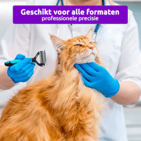 Doppelseitiger Entfilzungskamm für Haustiere, orange Katze, blaue Handschuhe, Fellpflege.