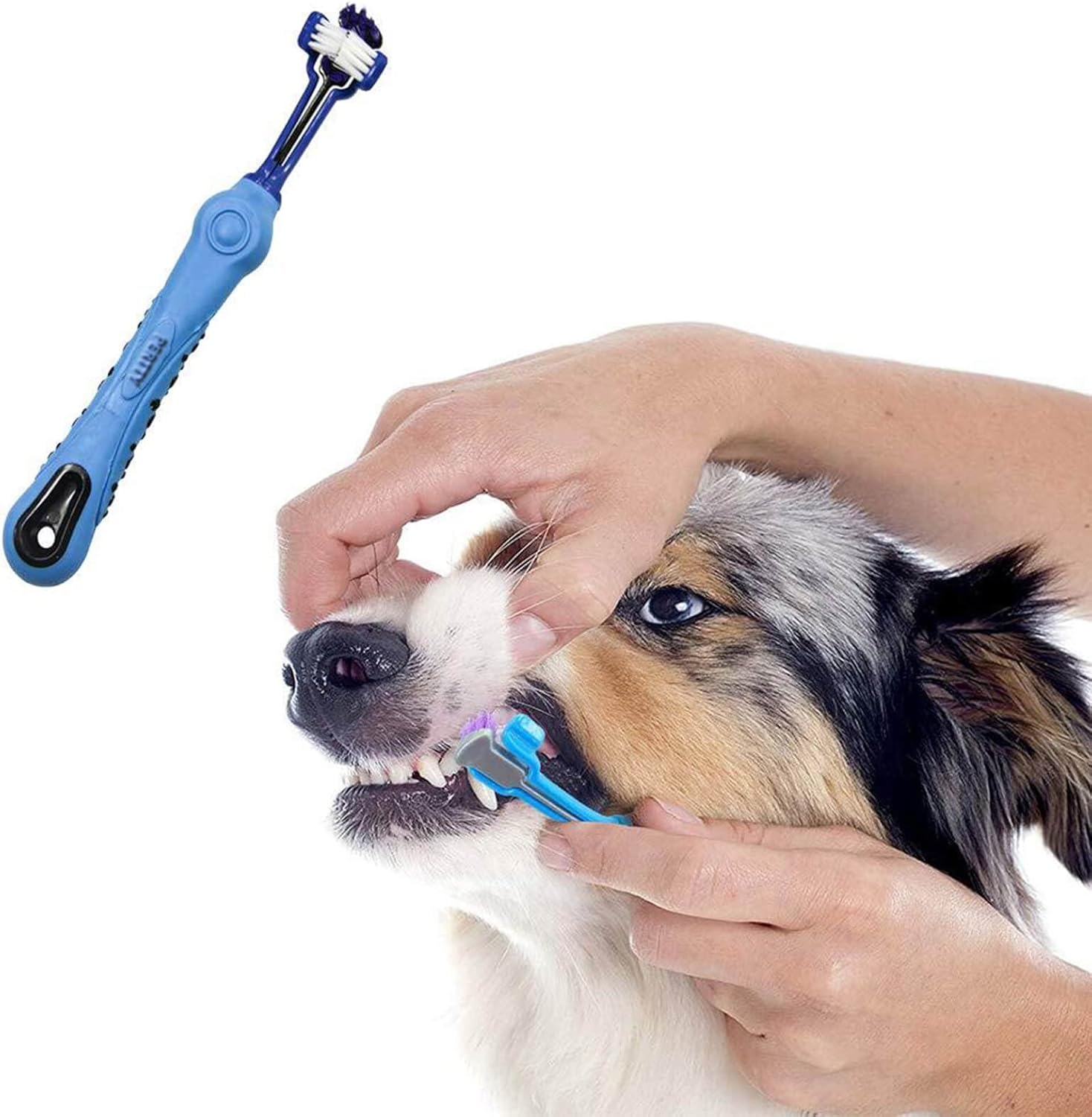 Dreikopf-Hundezahnbürste, blau, für effektive Zahnpflege bei Hunden, ergonomischer Griff.