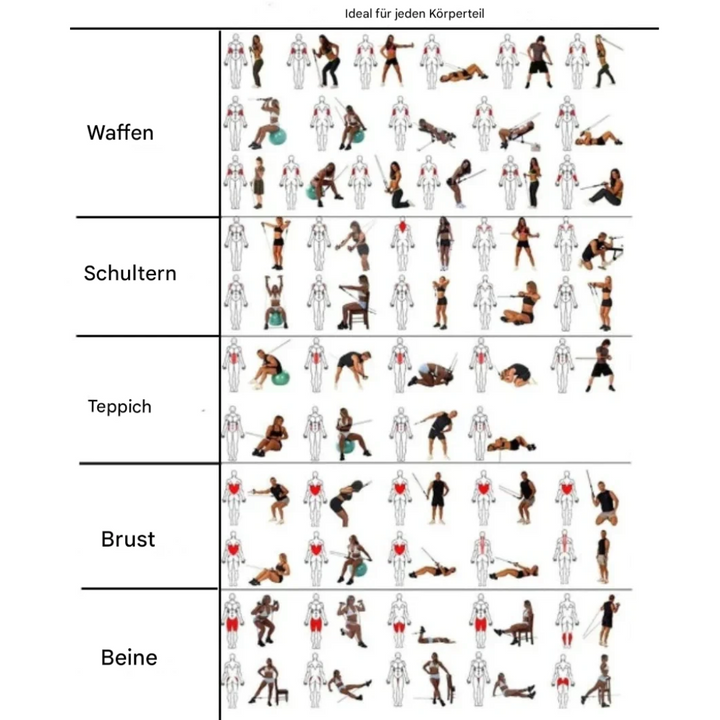 Übungsanleitung für Ganzkörpertraining, illustriert mit Figuren, kategorisiert nach Körperteilen.