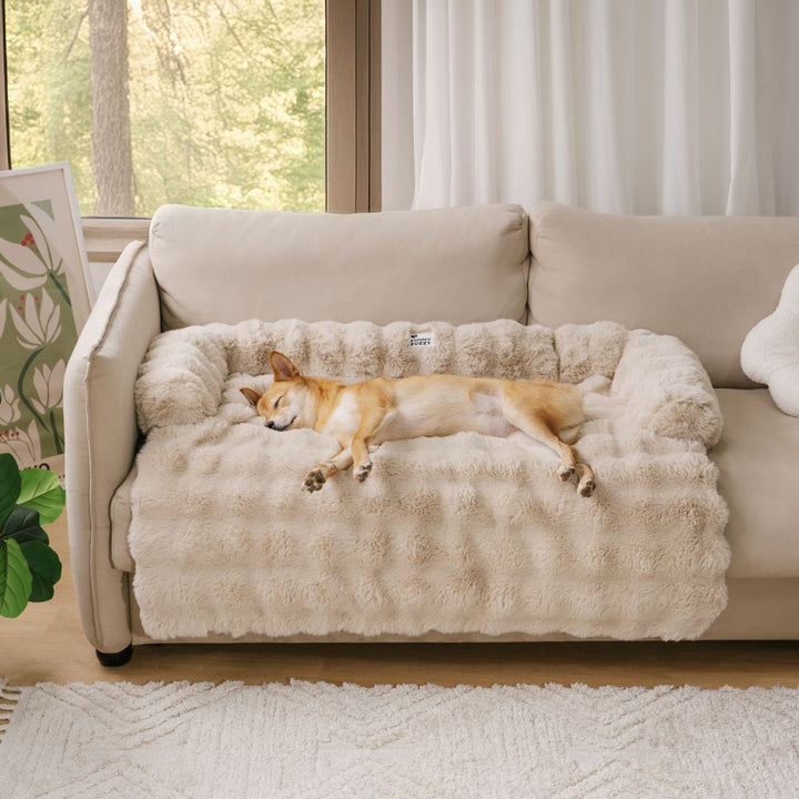 Hund schläft auf beigem, flauschigem Sofa-Schonbezug, beruhigendes Haustierbett, Wohnzimmer.