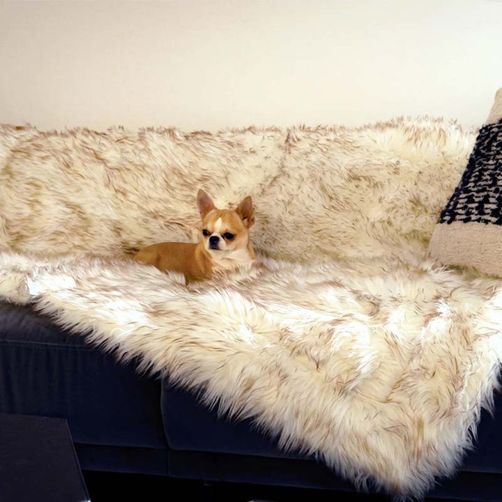 Kleiner Hund auf weißem Kunstfell-Überwurf auf grauem Sofa, gemütliches Wohnzimmer-Dekor.