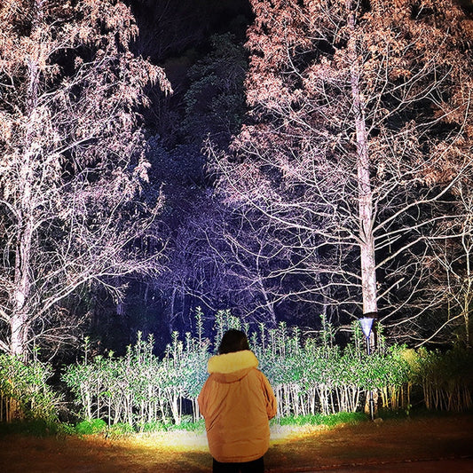 Frau im Wintermantel betrachtet beleuchtete Bäume bei Nacht im Wald.