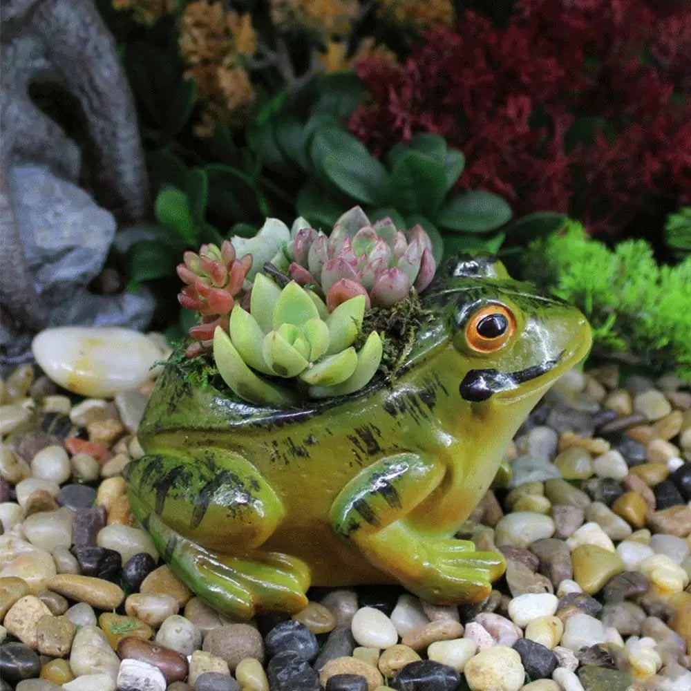 Grüne Frosch-Blumentopf aus Harz mit Sukkulenten, dekorativ für Garten und Innenbereich.