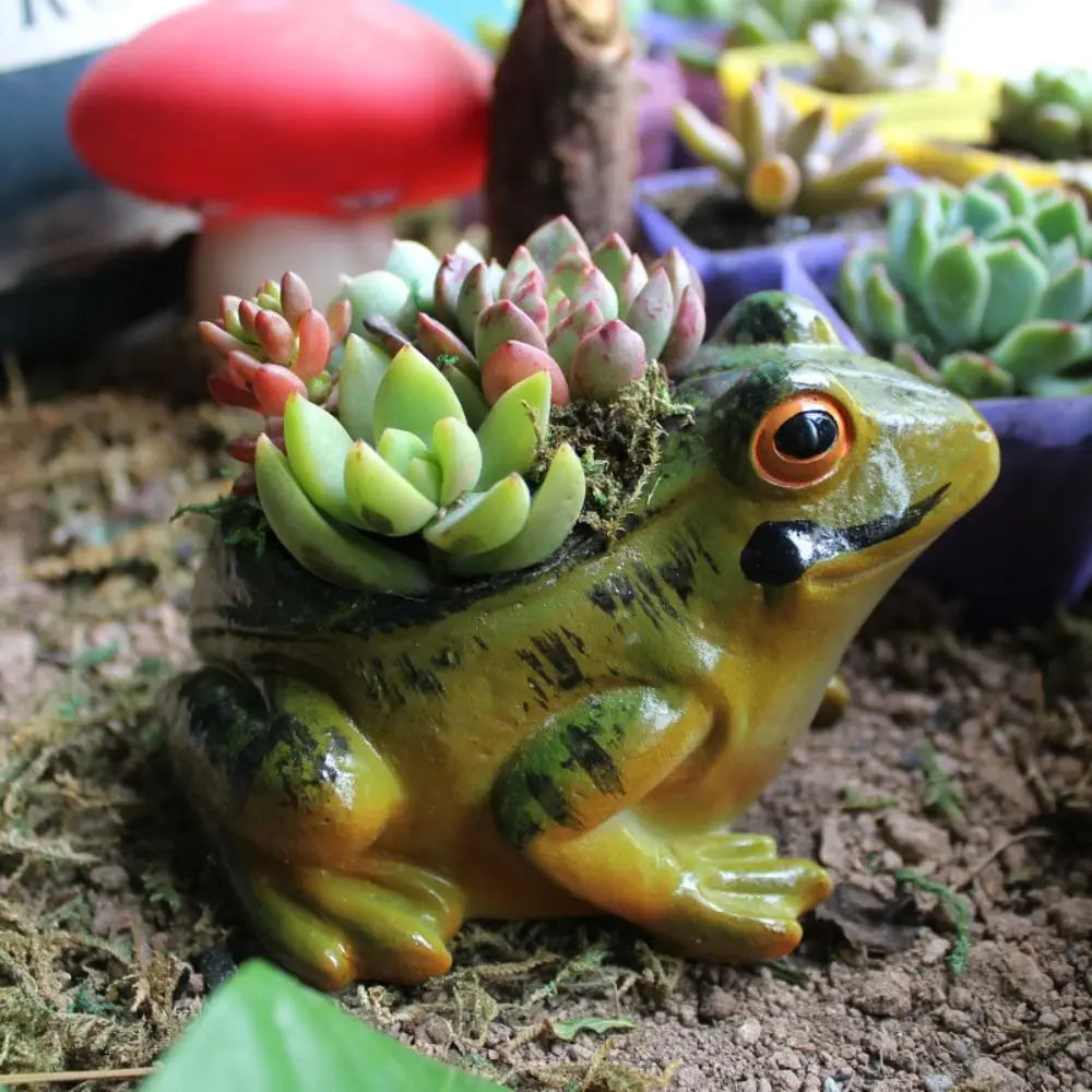 Grüne Frosch-Blumentopf mit Sukkulenten, Harz, Garten-Dekoration, niedlich, Mini-Pflanzgefäß.