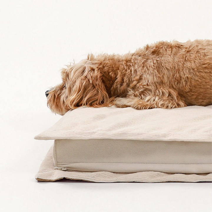 Hund auf wasserdichtem, anti-angst, beigem Hundebett mit Schwammunterstützung.