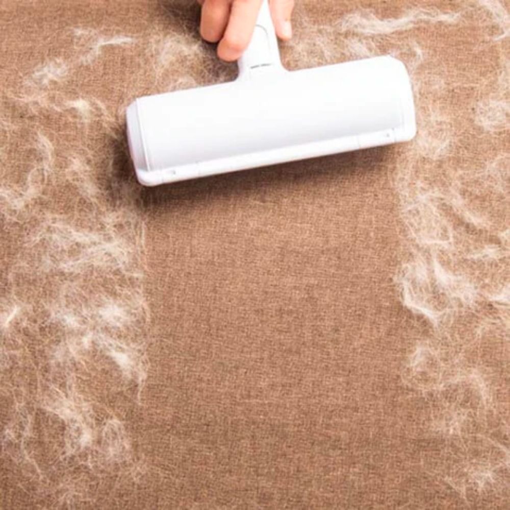 Handstaubsauger entfernt Tierhaare von braunem Stoffsofa, weißer Roller, Reinigung, Haustierpflege.