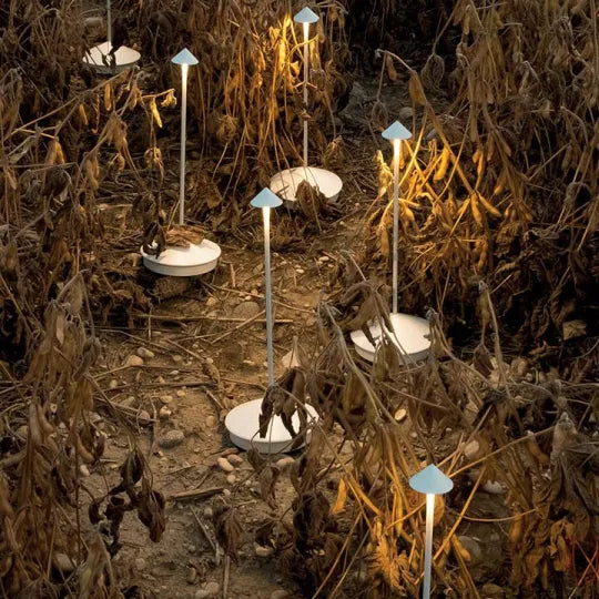 Moderne Gartenleuchten im Feld, LED, weiß, blau, energiesparend, dekorativ, Außenbeleuchtung.