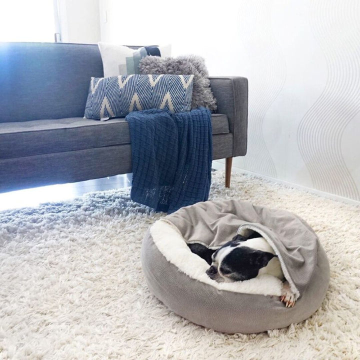 Hund schläft in grauem Hundebett auf weißem Teppich vor grauem Sofa mit blauen Kissen.