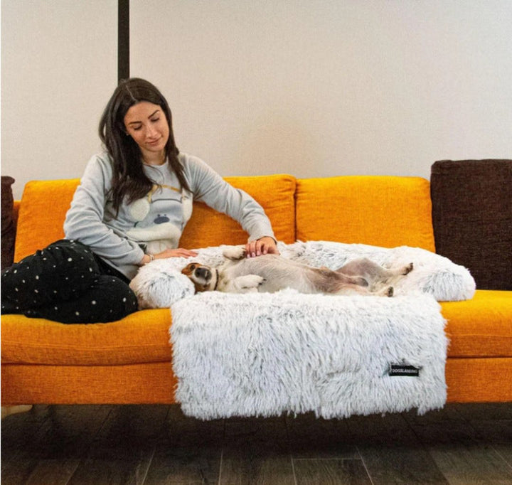 Flauschiges Hundesofa in Weiß auf gelbem Sofa, Frau streichelt Hund, gemütliches Haustierbett.