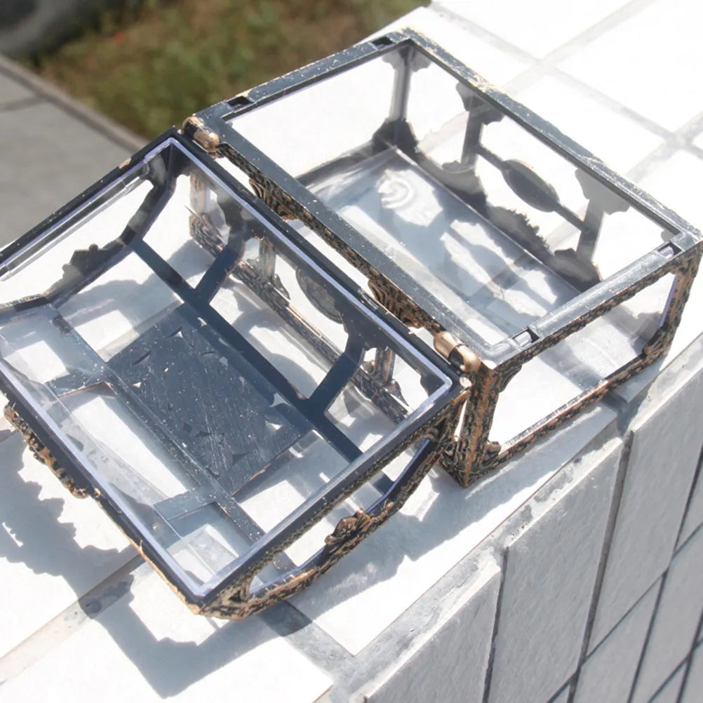 Transparente Kunststoffbox, rechteckig, mit Deckel, für Aufbewahrung, klar, robust, modern.