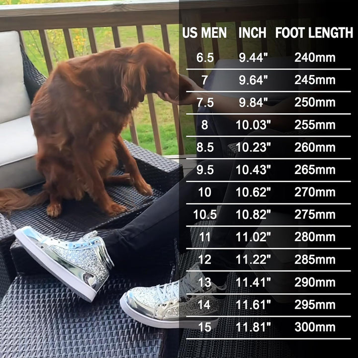 Silberne Glitzer-Sneaker auf Terrasse, Größenvergleichstabelle, Hund im Hintergrund.