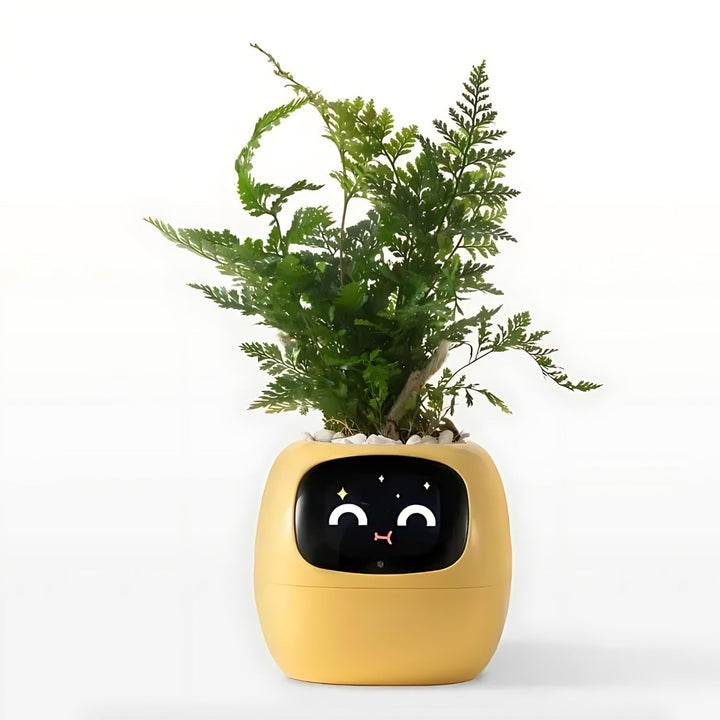 Gelber interaktiver Blumentopf mit Gesicht, Pflanze, smartes Design, Happy Ivy, modern.