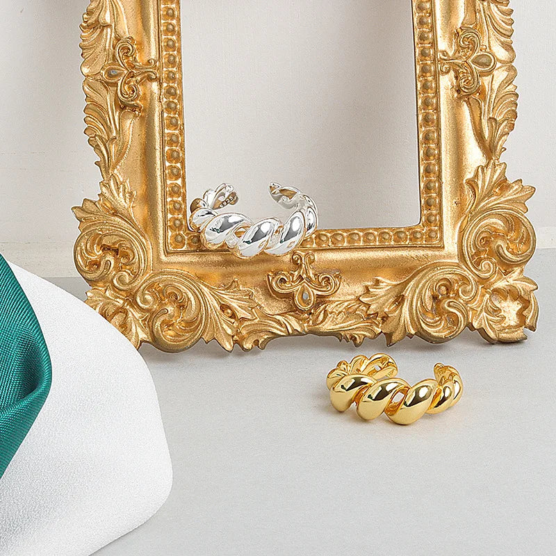 Goldener und silberner Ring, gedrehtes Design, vor barockem Bilderrahmen, Schmuckdisplay.