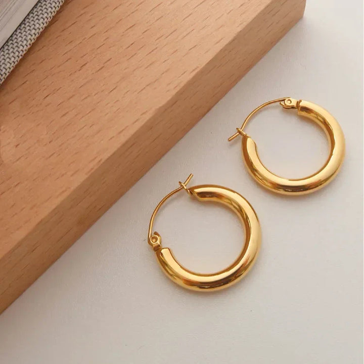 Goldene Creolen Ohrringe aus Metall auf Holzuntergrund, modisches Schmuckaccessoire.