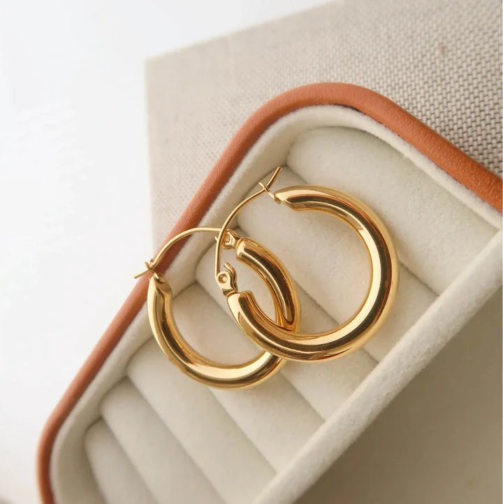 Goldene Creolen Ohrringe auf Schmuckschatulle, elegantes Design, modische Accessoires.