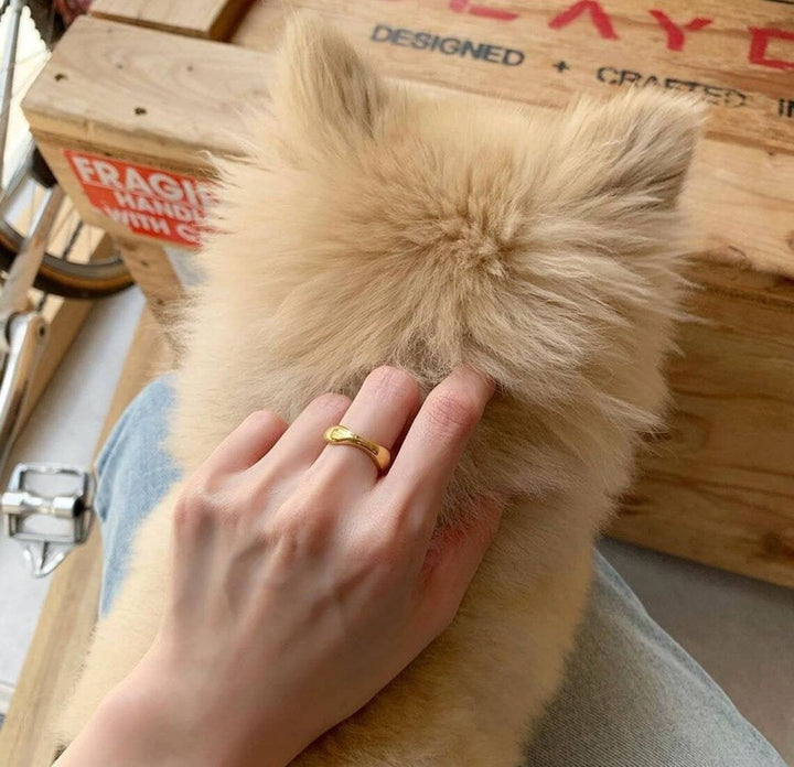 Hand streichelt flauschigen Hund, goldener Ring, Holzkiste im Hintergrund, gemütliche Szene.