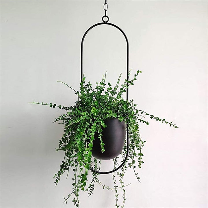 Schwarzer hängender Blumentopf mit grüner Pflanze, moderner Metallrahmen, Innendekoration.