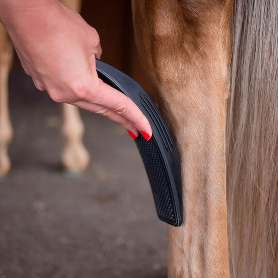 Hand bürstet Pferd mit schwarzer Pferdebürste, Pflegezubehör, Nahaufnahme.