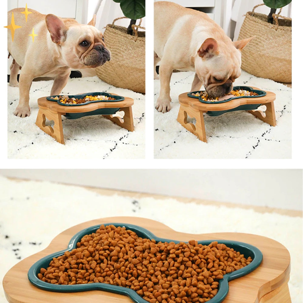 Französische Bulldogge frisst aus erhöhtem Hundenapf aus Holz, gefüllt mit Trockenfutter.