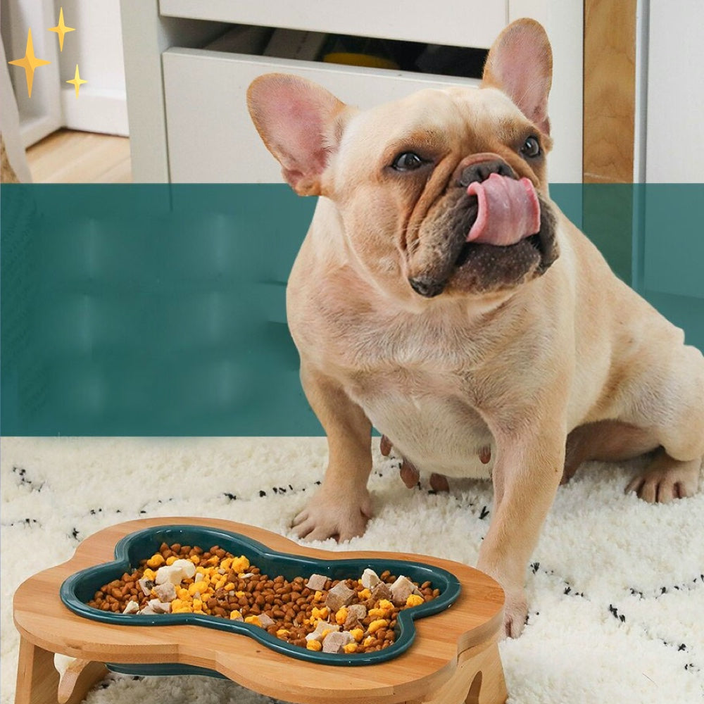 Französische Bulldogge mit Fressnapf aus Holz, gefüllt mit Hundefutter, auf Teppich.