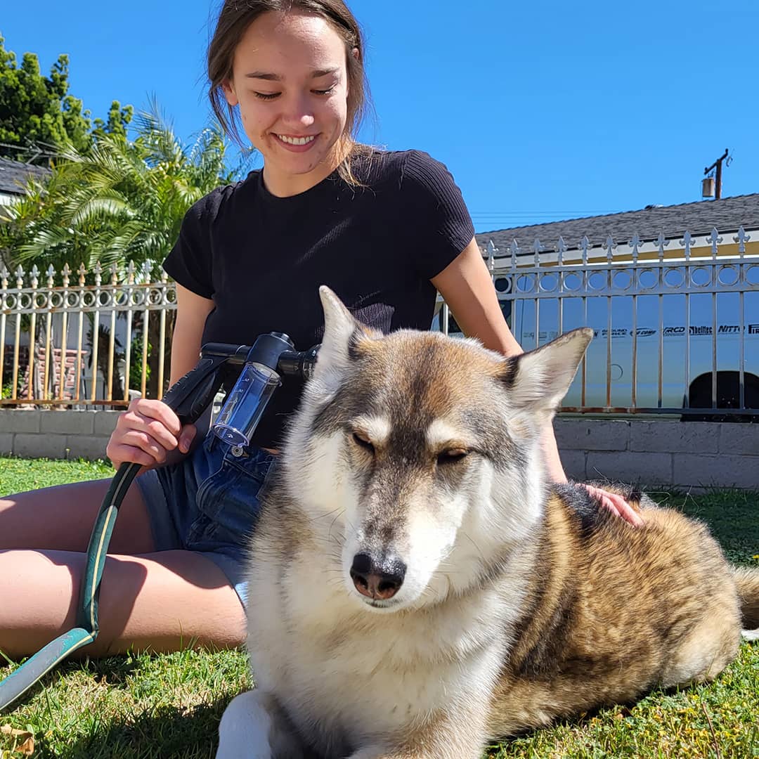 Frau mit braun-weißem Hund im Garten, sonniger Tag, lächelnd, entspannte Atmosphäre.