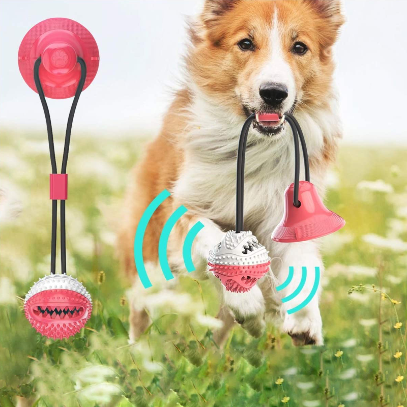 Hund spielt mit interaktivem, rosa Hundespielzeug mit Saugnapf und Beißball im Freien.