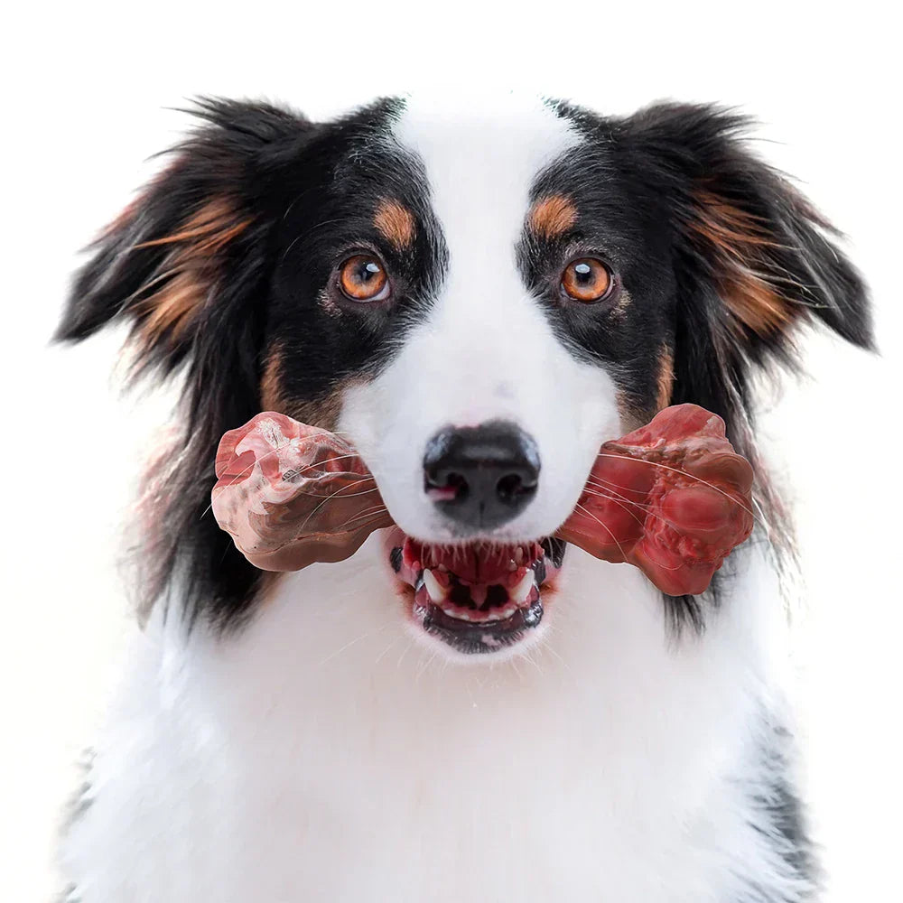 Hund mit robustem Kauspielzeug aus Gummi, Leckerli-Spender, Zahnpflege, langlebig, für Welpen.
