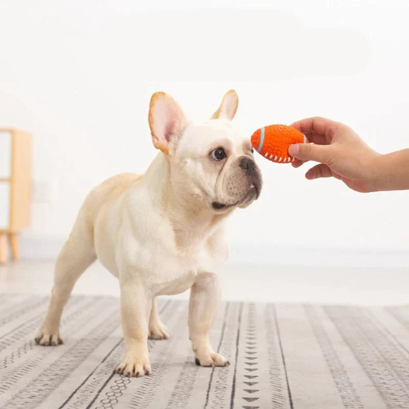 Französische Bulldogge mit orangefarbenem Latex-Kauspielzeug in Ballform auf Teppich.