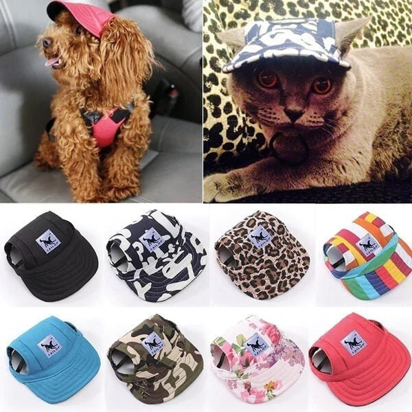 Hundemütze und Katzenmütze, verschiedene Designs, modische Haustierkleidung, Accessoires.