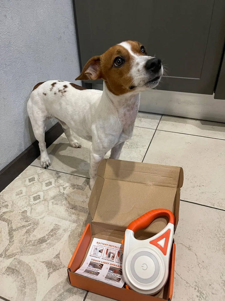 Hund mit weiß-roter Flexi-Hundeleine in Verpackung auf Fliesenboden.