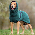 Hund in grüner Frottee-Bademantel, Kapuze, Outdoor, Haustierpflege, warm, bequem, stilvoll.
