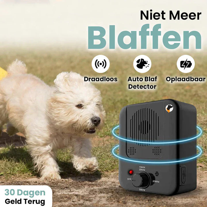 Drahtloser Anti-Bell-Detektor, schwarz, aufladbar, für Hunde, im Freien, mit Hund im Hintergrund.