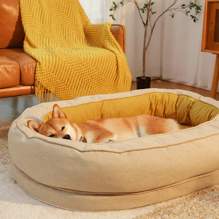 Hundebett beige, gemütlich, mit Hund, Wohnzimmer, gelbe Decke, Sofa, Haustierbedarf, Entspannung.