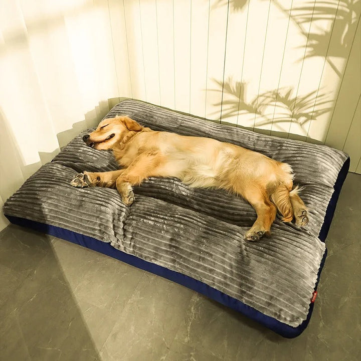 Hund schläft auf grauem, geripptem Hundebett aus Plüsch, gemütlich, komfortabel, Innenbereich.