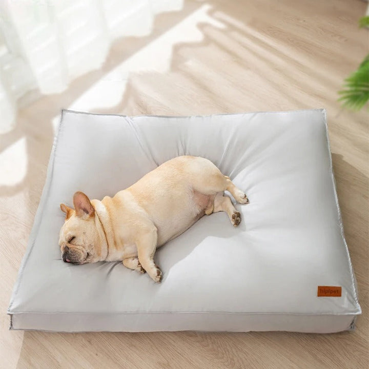 Schlafender Hund auf großem, grauem Hundebett aus Stoff in sonnendurchflutetem Raum.