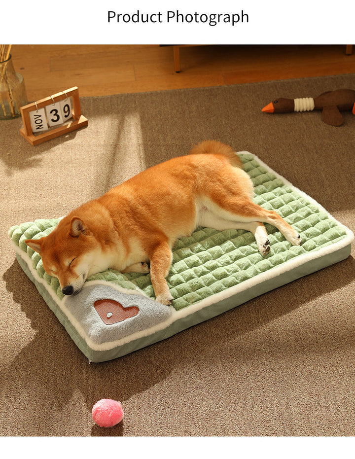 Schlafender Hund auf grünem, weichem Hundebett mit Herzmotiv, gemütlich, Haustierbedarf.