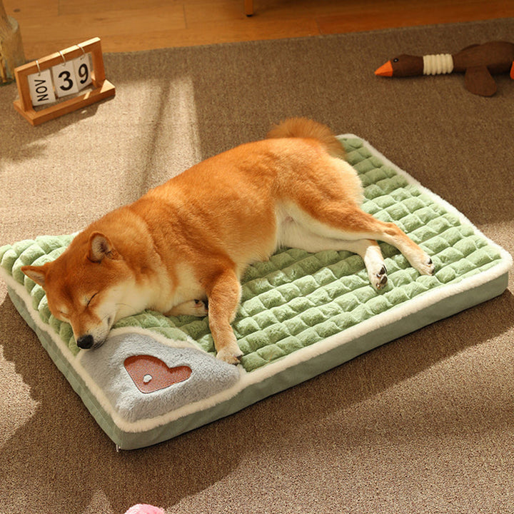 Schlafender Hund auf grünem Hundebett mit Herzmotiv, gemütlich, weich, Wohnzimmer.